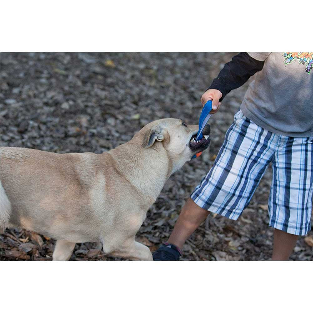 Chuckit! Ultra Tug Dog Toy featuring a durable rubber ball attached to a nylon handle, designed for tug-of-war and fetch games.