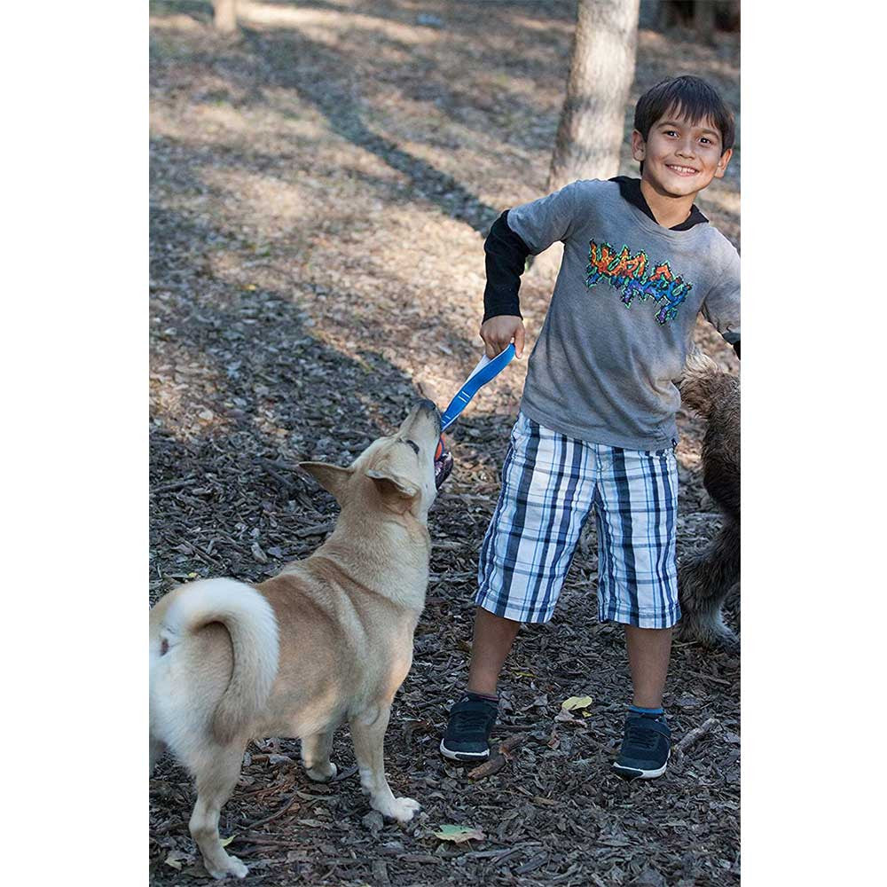 Chuckit! Ultra Tug Dog Toy featuring a durable rubber ball attached to a nylon handle, designed for tug-of-war and fetch games.