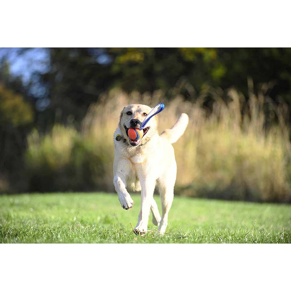 Chuckit! Ultra Tug Dog Toy featuring a durable rubber ball attached to a nylon handle, designed for tug-of-war and fetch games.