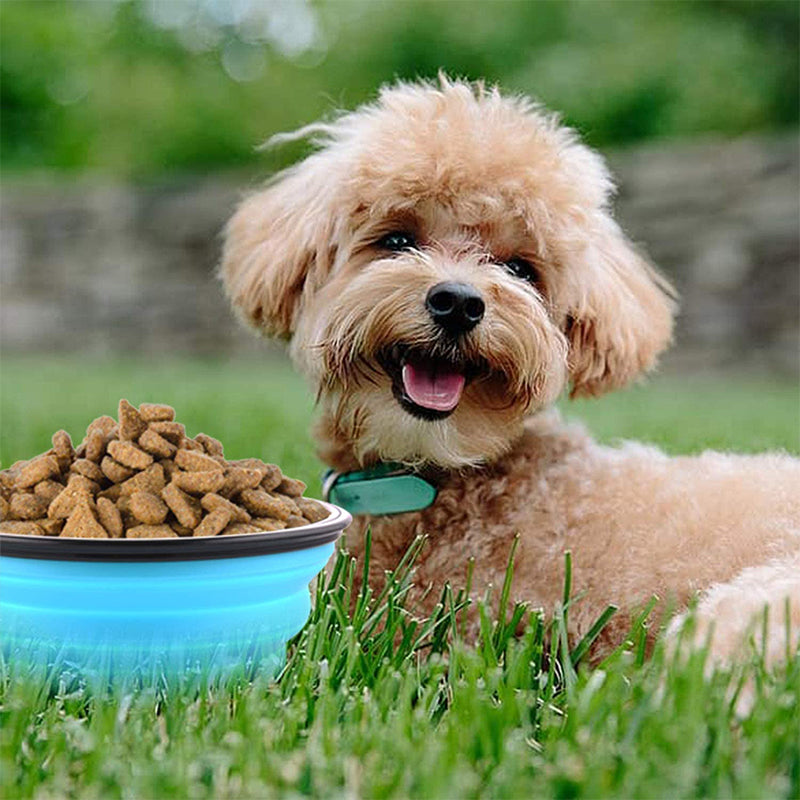 Collapsible Silicone Bowl for Dogs in vibrant colors, lightweight and portable with a carabiner attached.