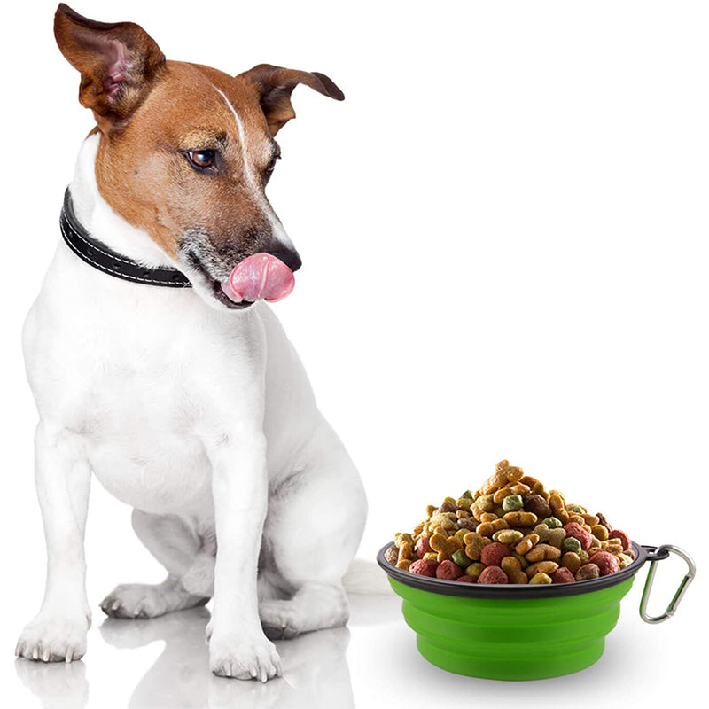 Collapsible Silicone Bowl for Dogs in vibrant colors, lightweight and portable with a carabiner attached.