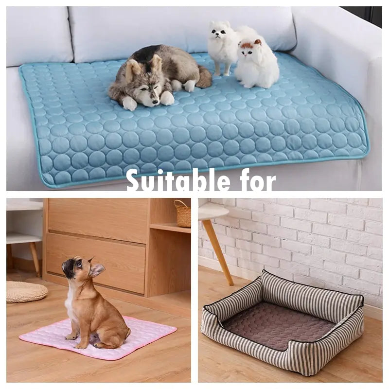 A Cooling Summer Dog Mat designed for pets, featuring a durable and portable design with innovative cooling technology for hot weather comfort.
