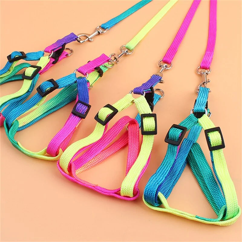 A colorful adjustable pet leash displayed on a wooden surface, showcasing its vibrant colors and adjustable mechanism.