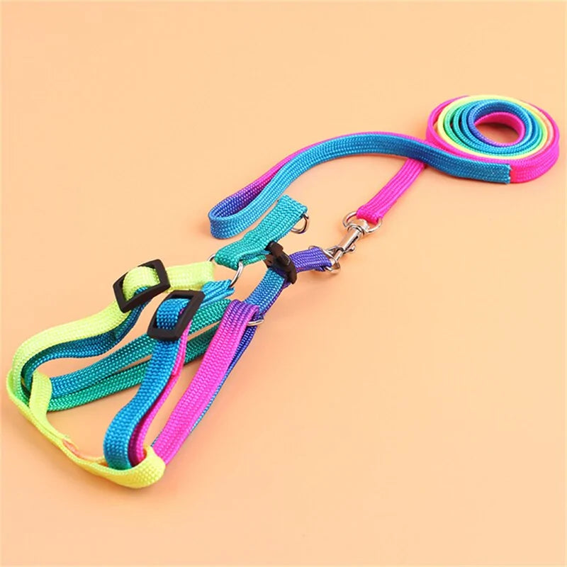 A colorful adjustable pet leash displayed on a wooden surface, showcasing its vibrant colors and adjustable mechanism.