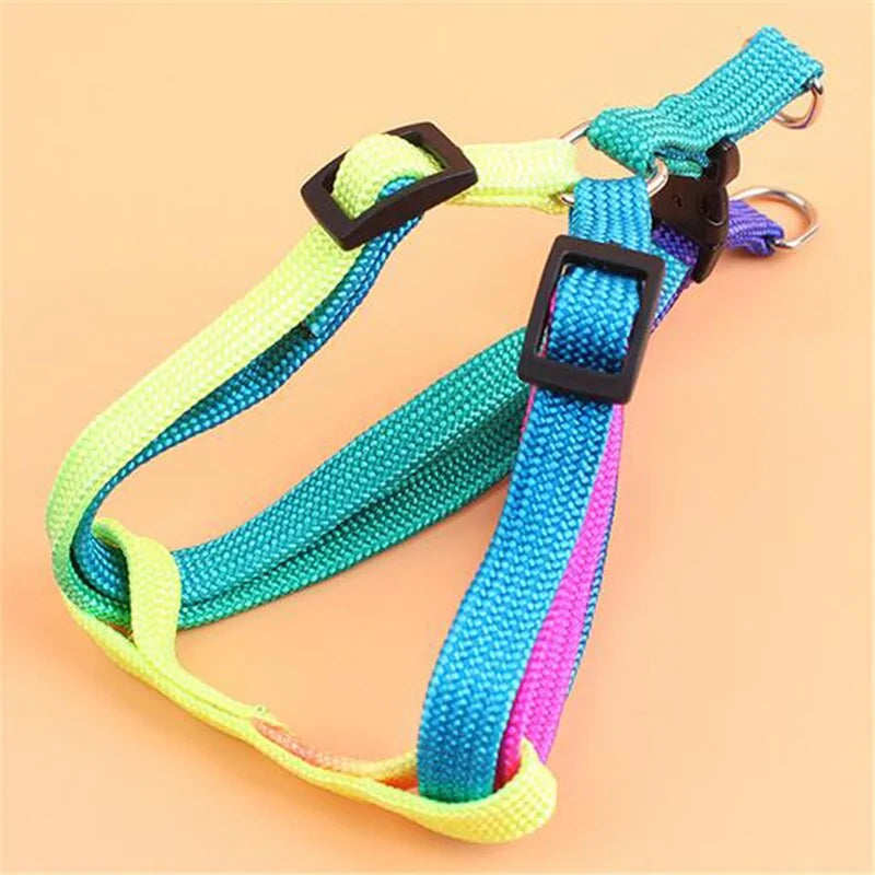 A colorful adjustable pet leash displayed on a wooden surface, showcasing its vibrant colors and adjustable mechanism.