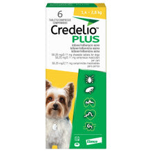 Credelio Plus 56.25mg / 2.11mg Chewable Tablets for small dogs, packaged in a 6 pack, showcasing the product's chewable form.