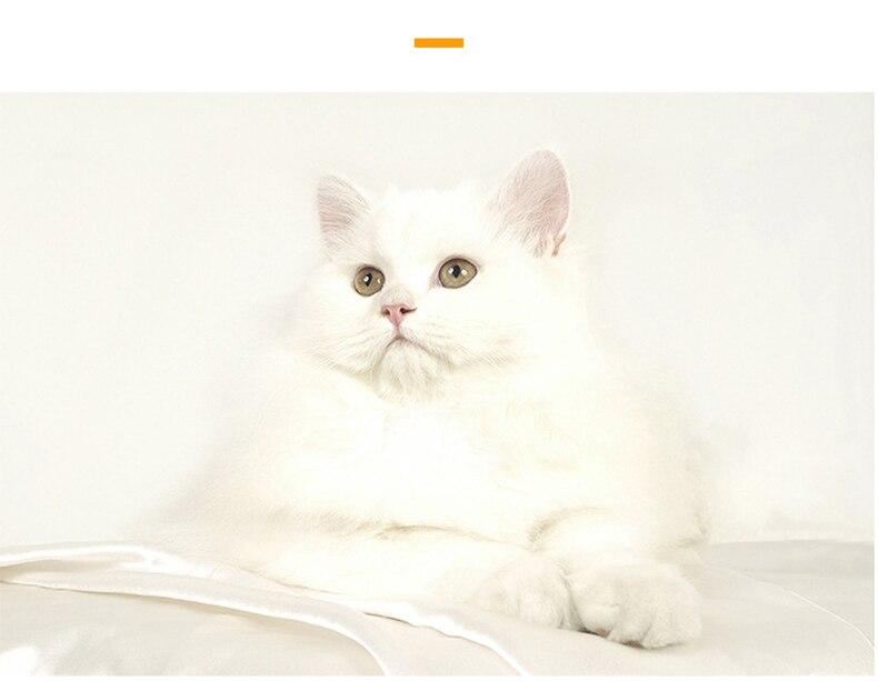 A cozy Cute Cat Bed House made of soft fleece and PP cotton, designed for cats and dogs, featuring a warm and inviting sleeping space.