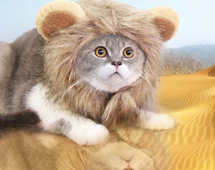 A cute cat wearing a fluffy tiny lion mane, showcasing its adorable features and blending perfectly with its fur.