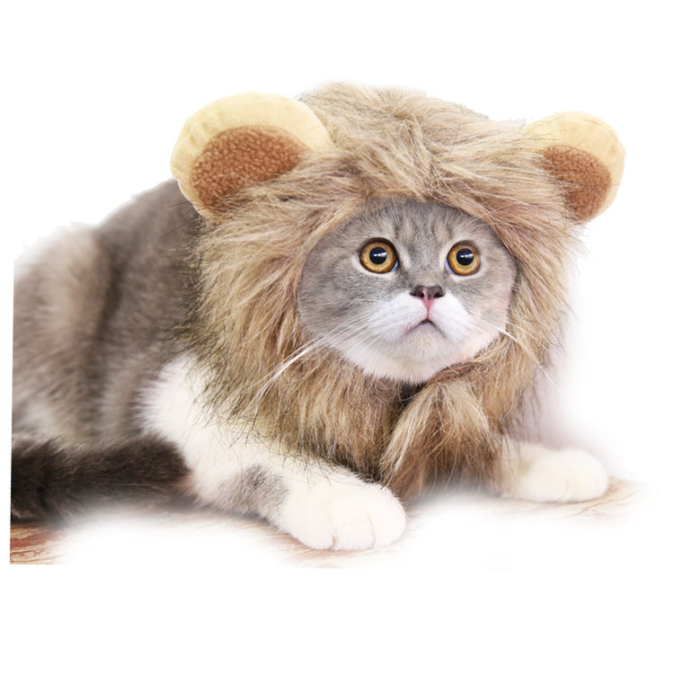 A cute cat wearing a fluffy tiny lion mane, showcasing its adorable features and blending perfectly with its fur.