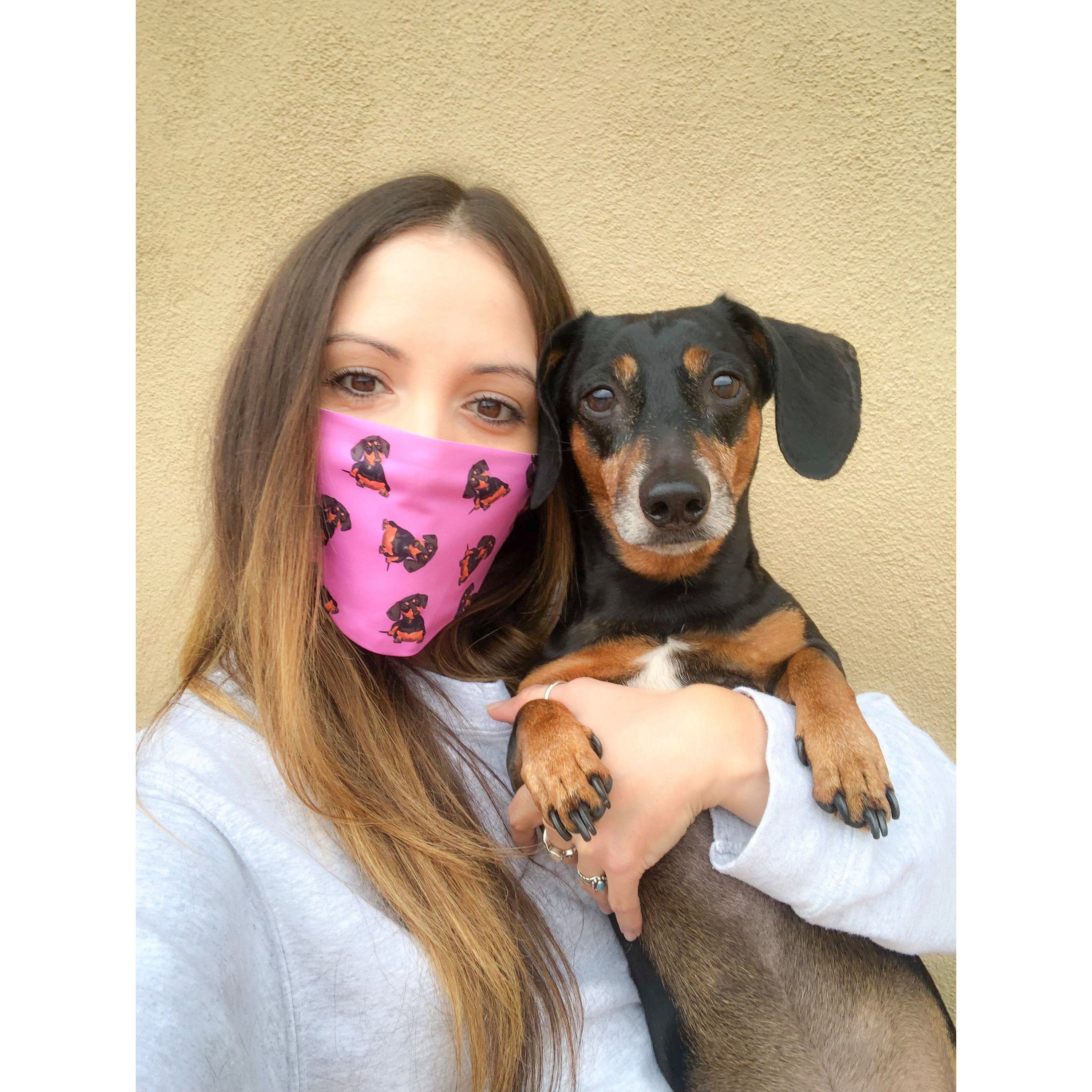 A stylish black and tan dachshund face cover, handmade with breathable fabric, showcasing a cute dog print.