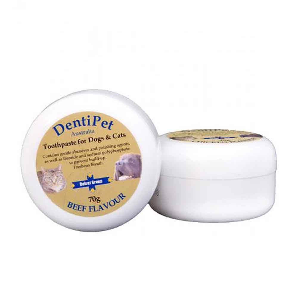 Dentipet Toothpaste for Dogs and Cats in a tube, showcasing its packaging and flavor options.