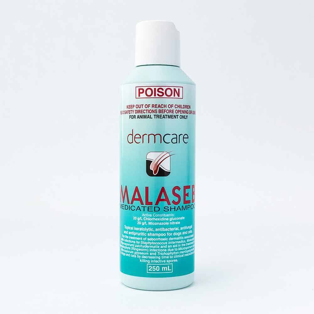 Dermcare Malaseb Medicated Shampoo bottle for dogs and cats, featuring a sleek design with a label indicating its medicated properties.
