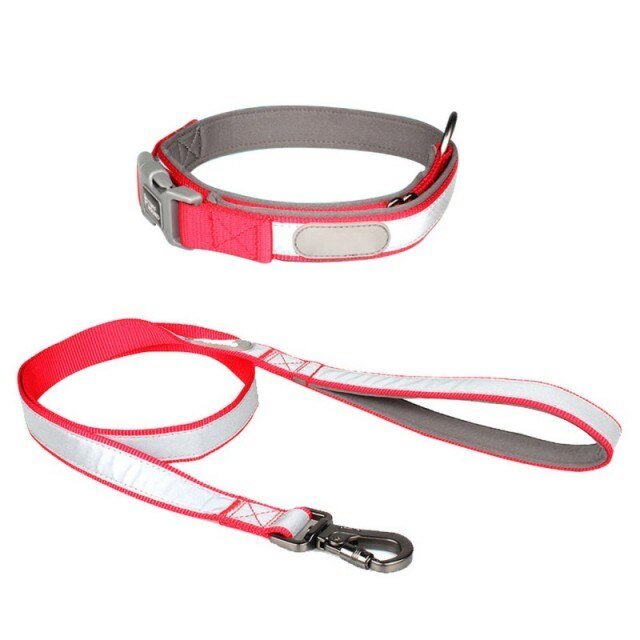 Reflective dog collar and leash set for small to large dogs, featuring a personalized dog tag and durable cloth material.