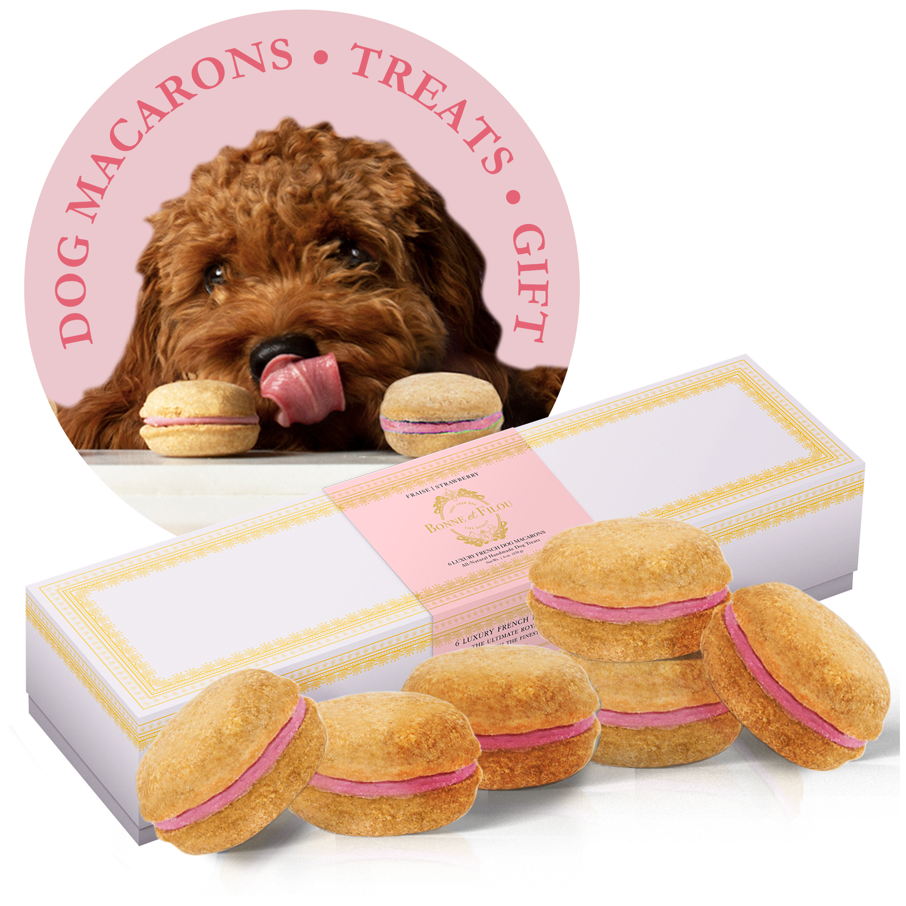 A box of six colorful dog macarons, handmade with all-natural ingredients, perfect for treating your furry friend.