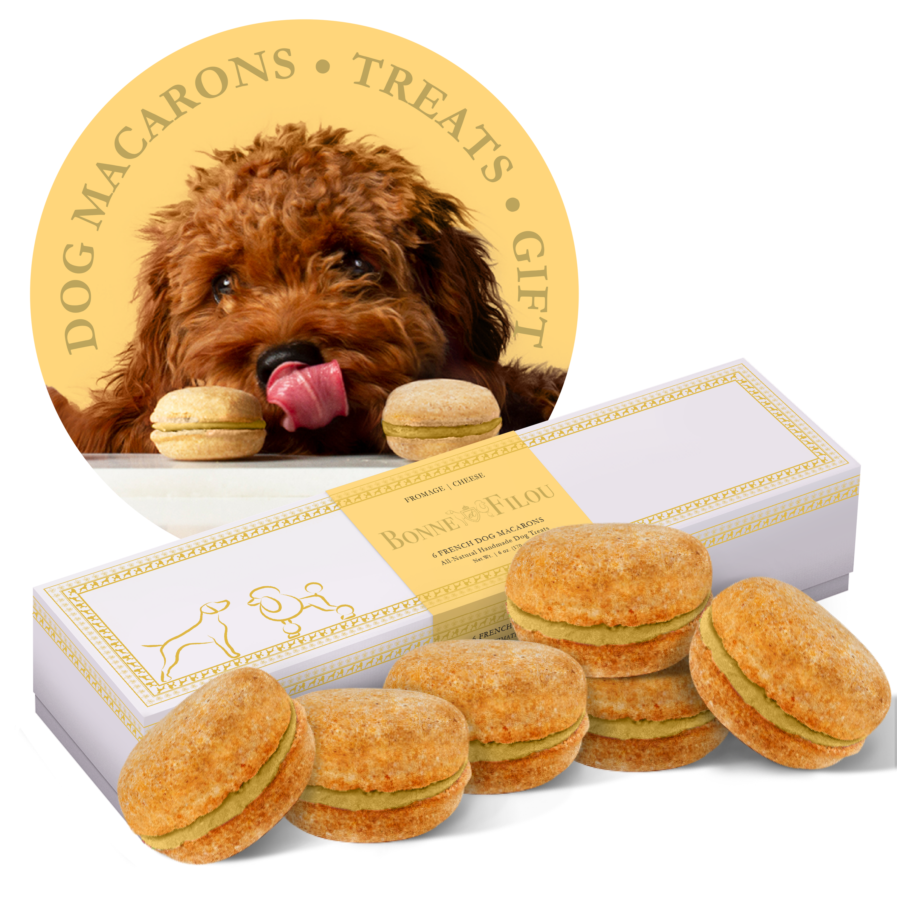 A box of six colorful dog macarons, handmade with all-natural ingredients, perfect for treating your furry friend.