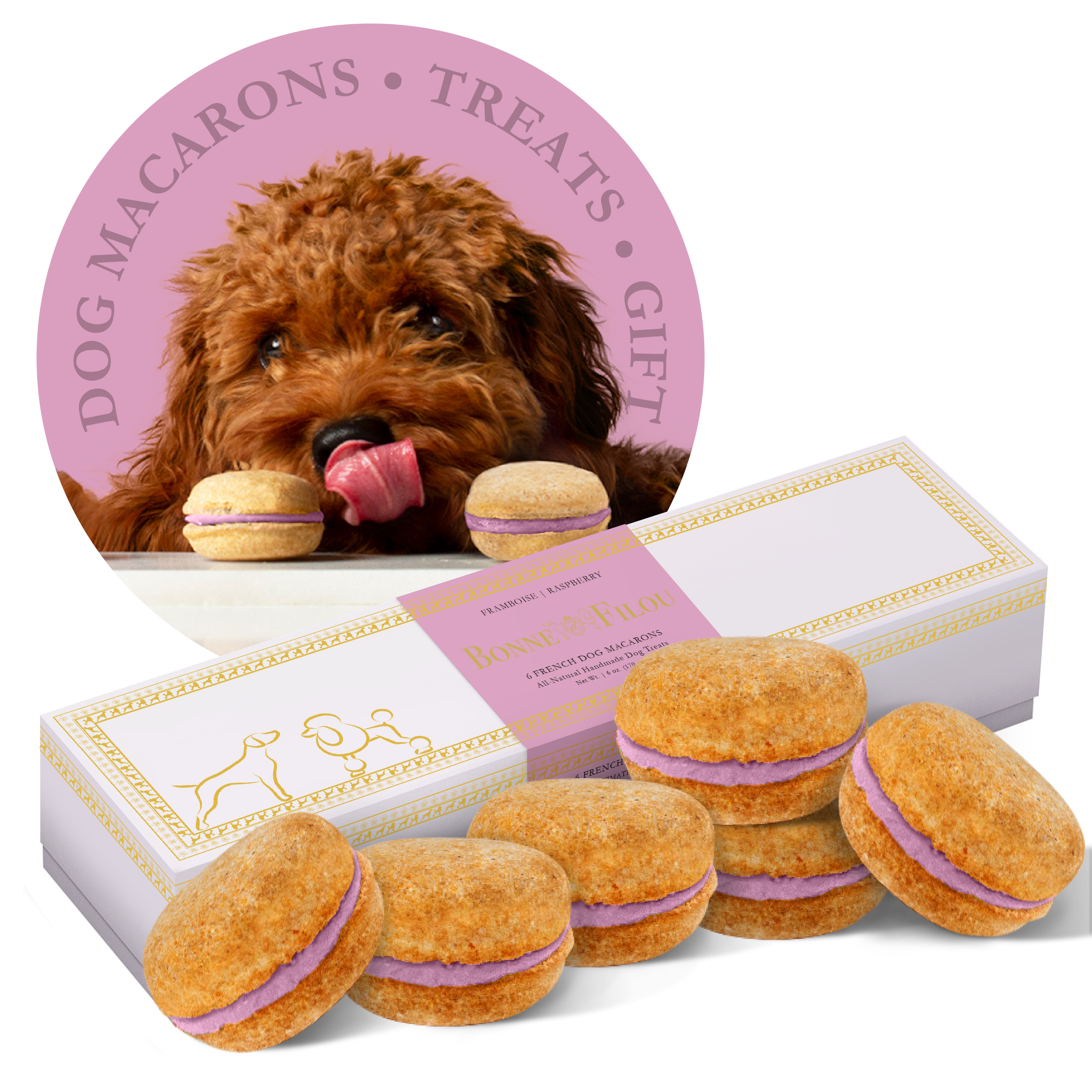 A box of six colorful dog macarons, handmade with all-natural ingredients, perfect for treating your furry friend.