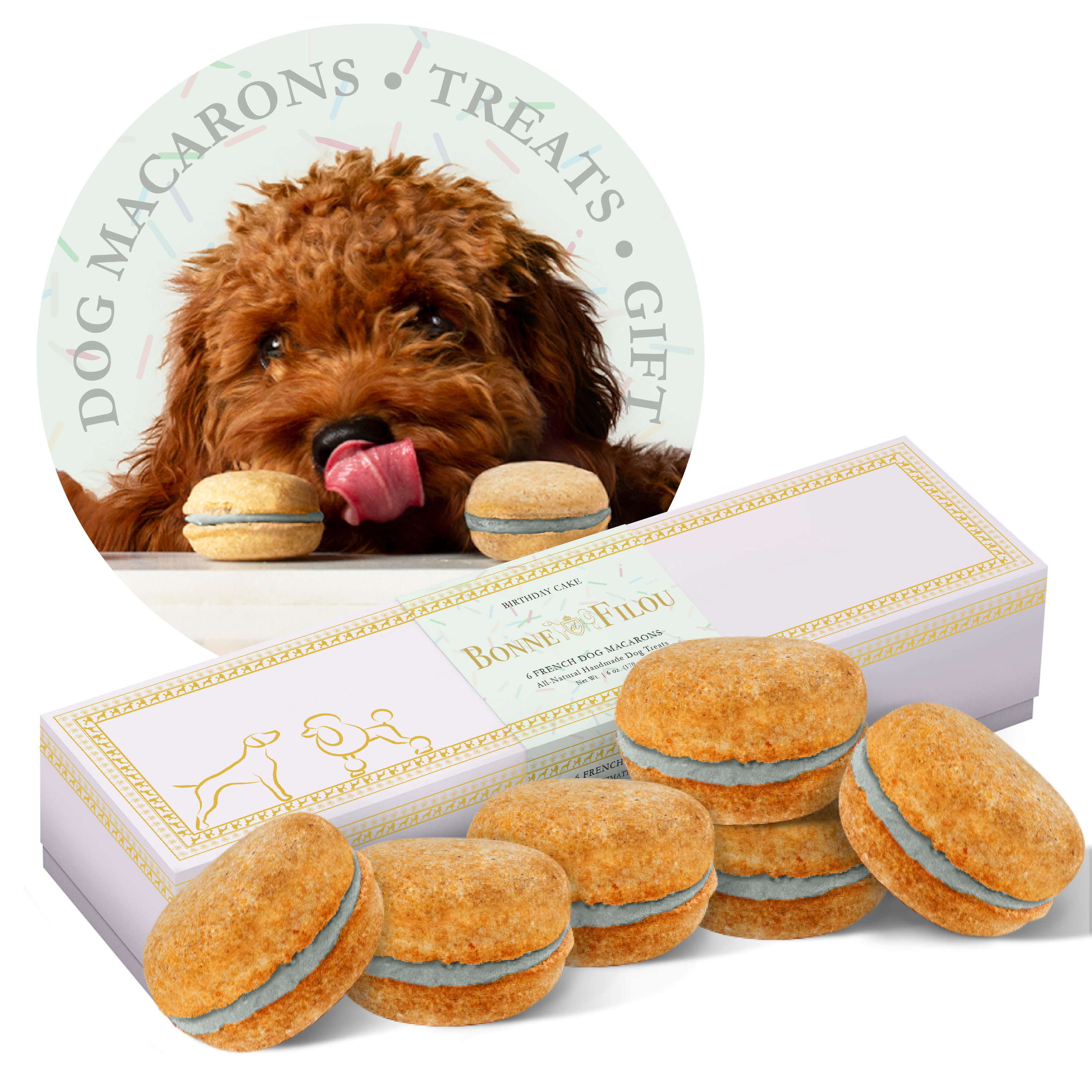 A box of six colorful dog macarons, handmade with all-natural ingredients, perfect for treating your furry friend.