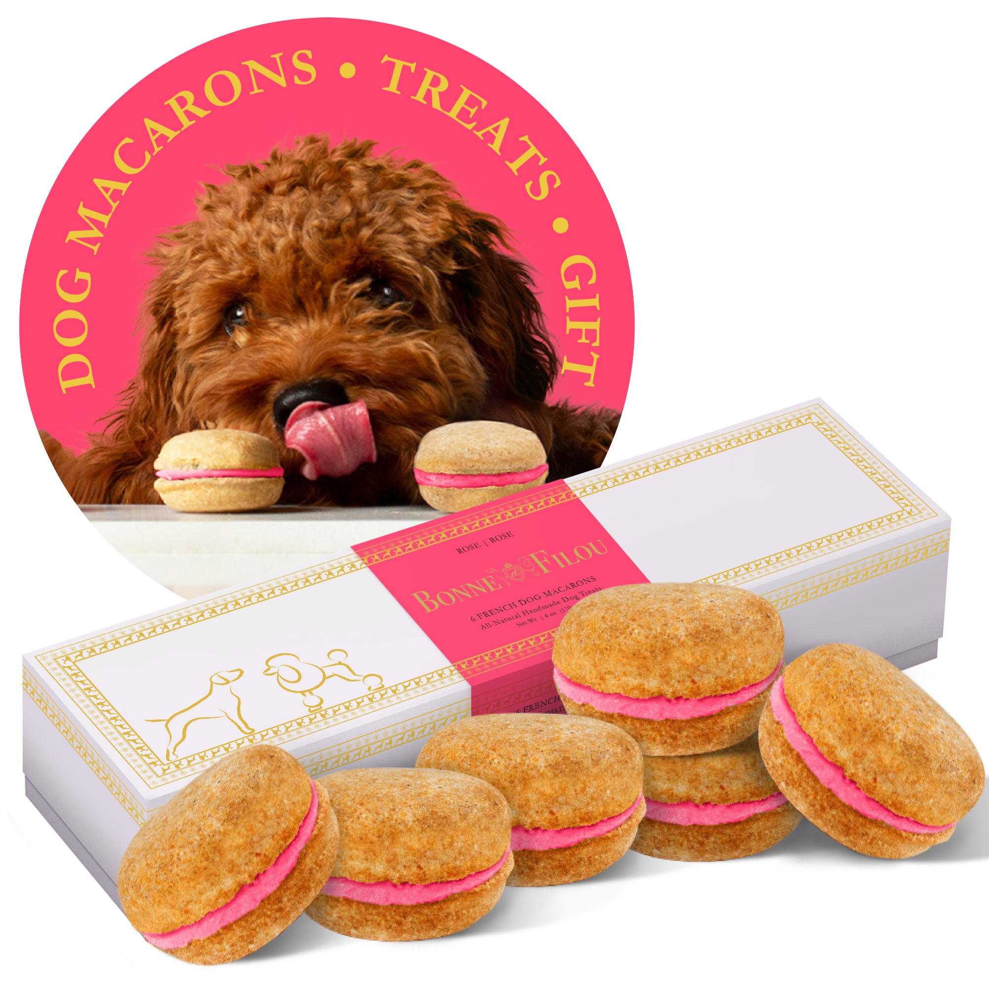 A box of six colorful dog macarons, handmade with all-natural ingredients, perfect for treating your furry friend.
