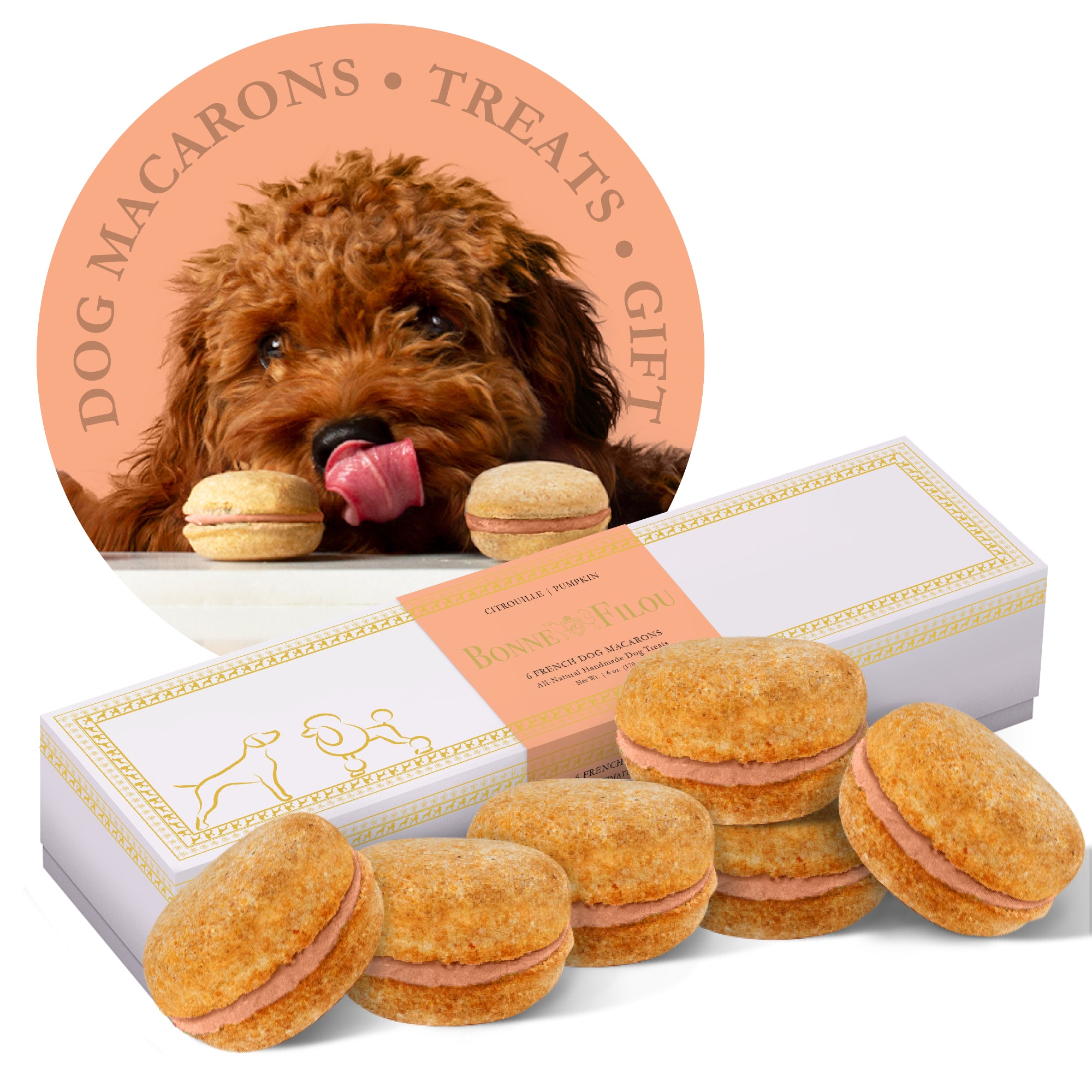 A box of six colorful dog macarons, handmade with all-natural ingredients, perfect for treating your furry friend.