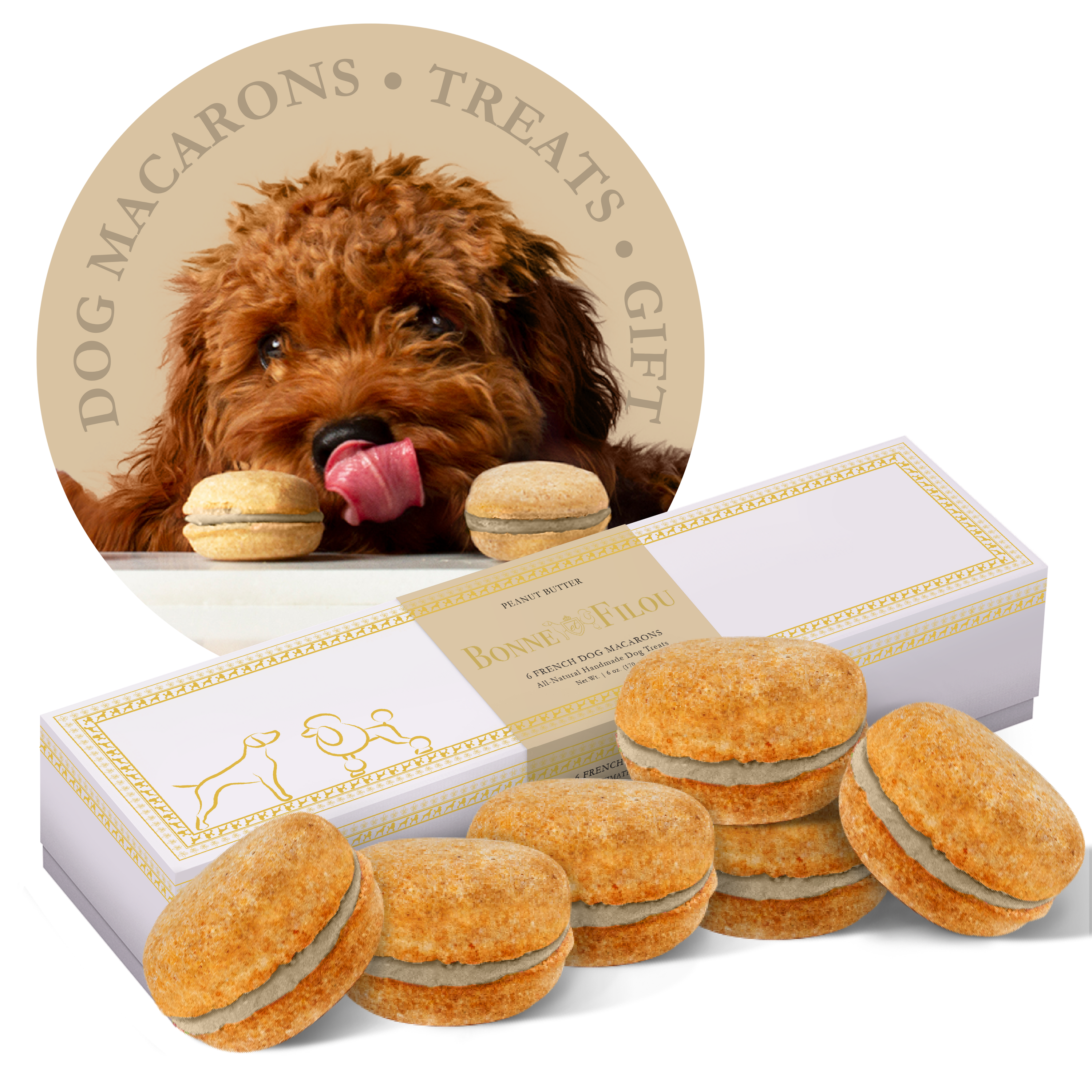 A box of six colorful dog macarons, handmade with all-natural ingredients, perfect for treating your furry friend.