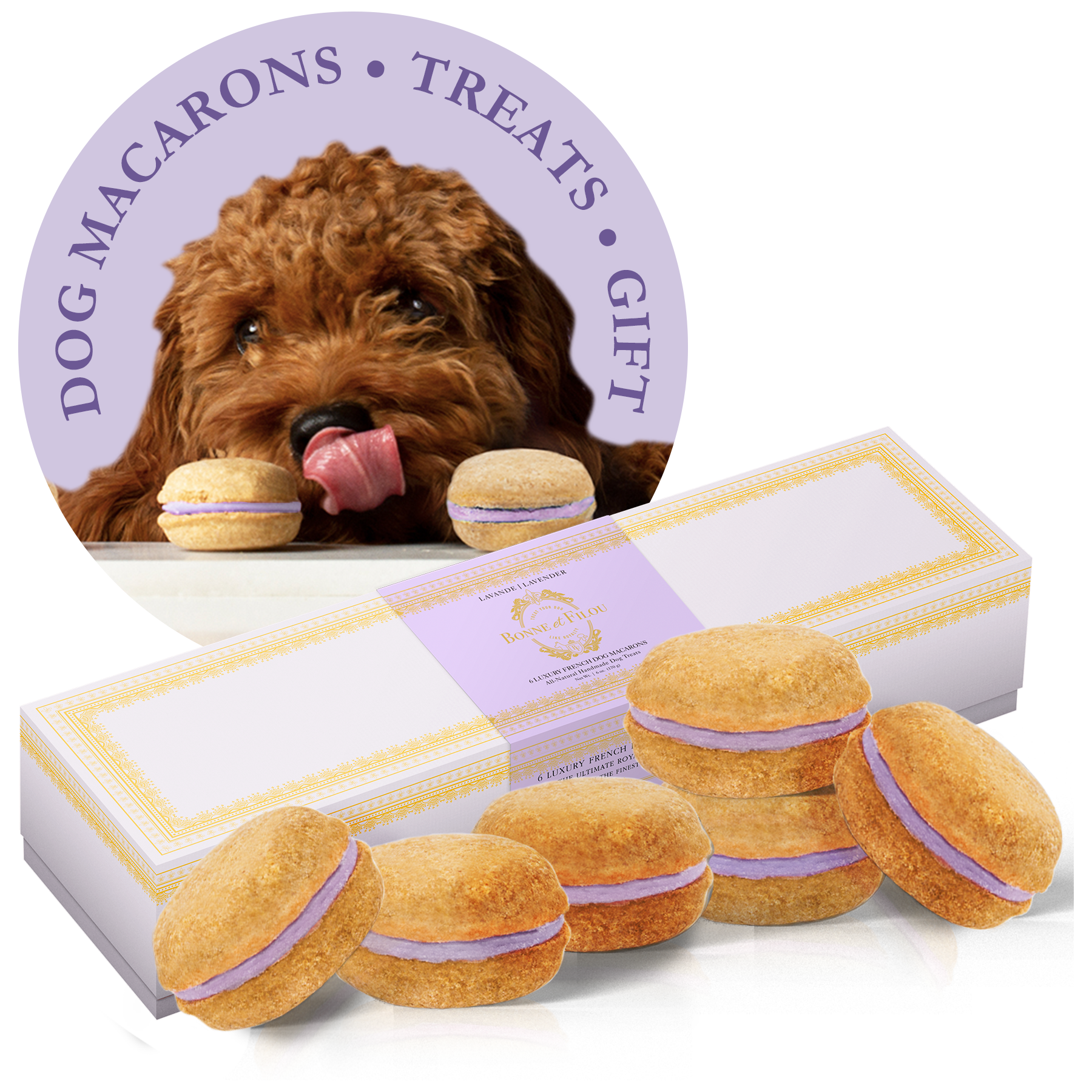 A box of six colorful dog macarons, handmade with all-natural ingredients, perfect for treating your furry friend.