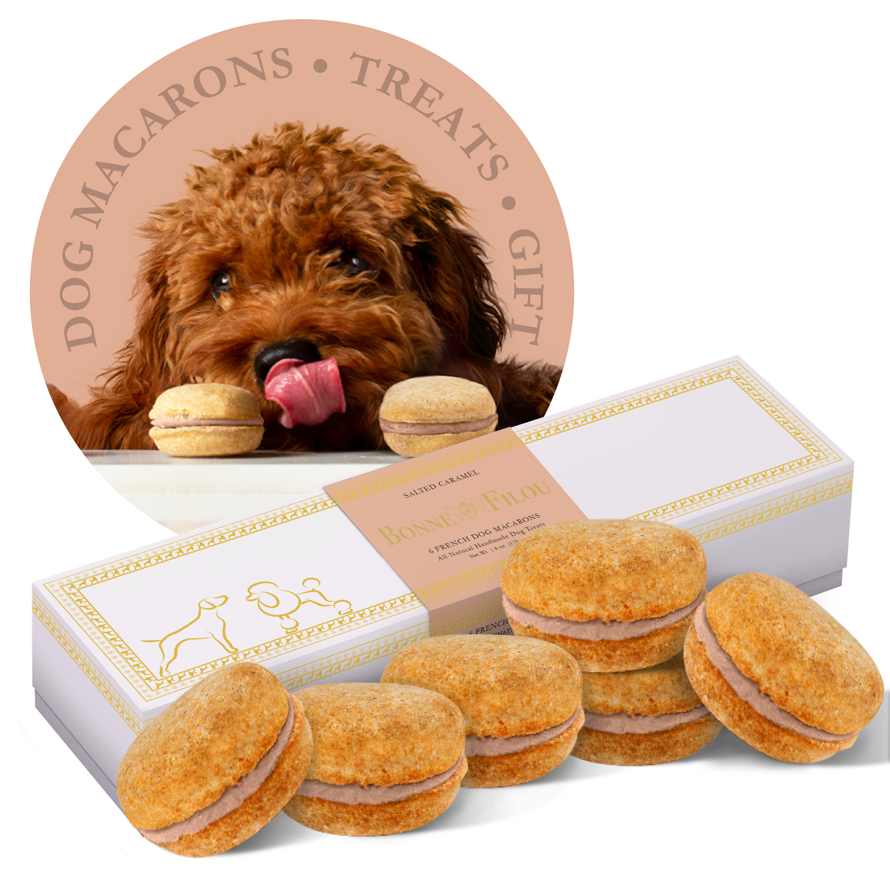 A box of six colorful dog macarons, handmade with all-natural ingredients, perfect for treating your furry friend.