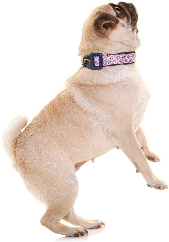 Doog Neoprene Dog Collar in navy, white, and red chevron pattern, showcasing its stylish design and lightweight neoprene material.