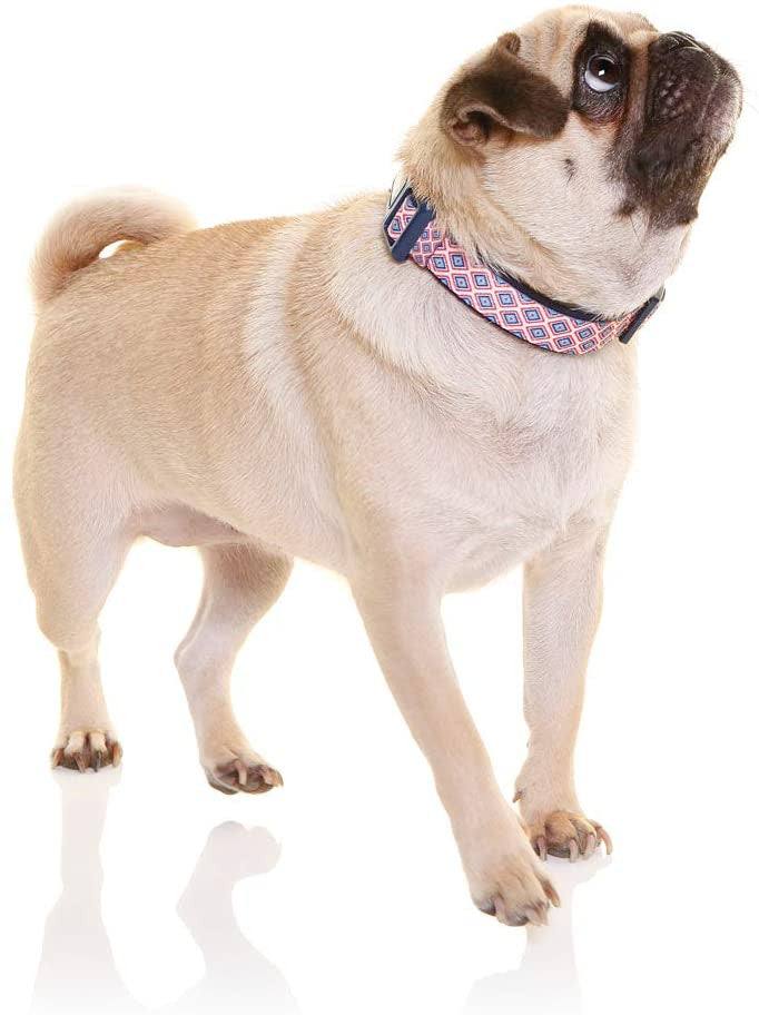 Doog Neoprene Dog Collar in navy, white, and red chevron pattern, showcasing its stylish design and lightweight neoprene material.