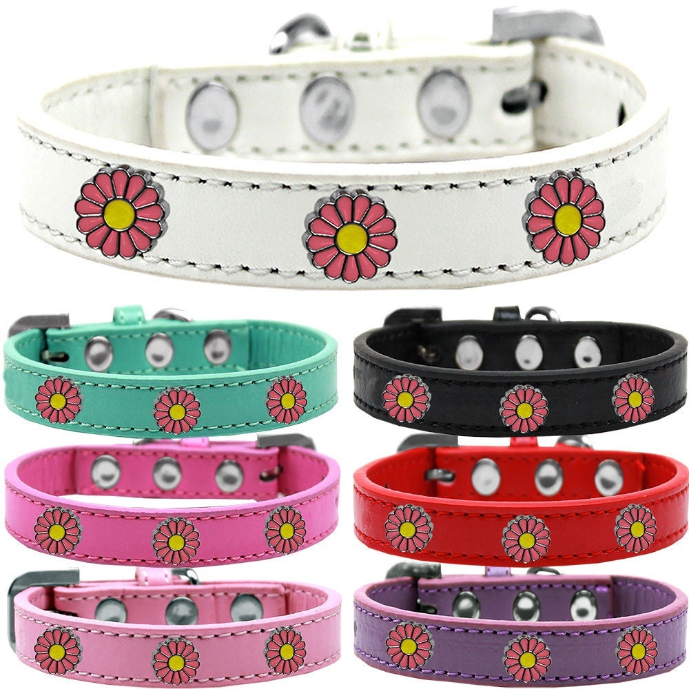 A stylish pink collar for dogs featuring daisies and metal widgets, showcasing a fashionable design.