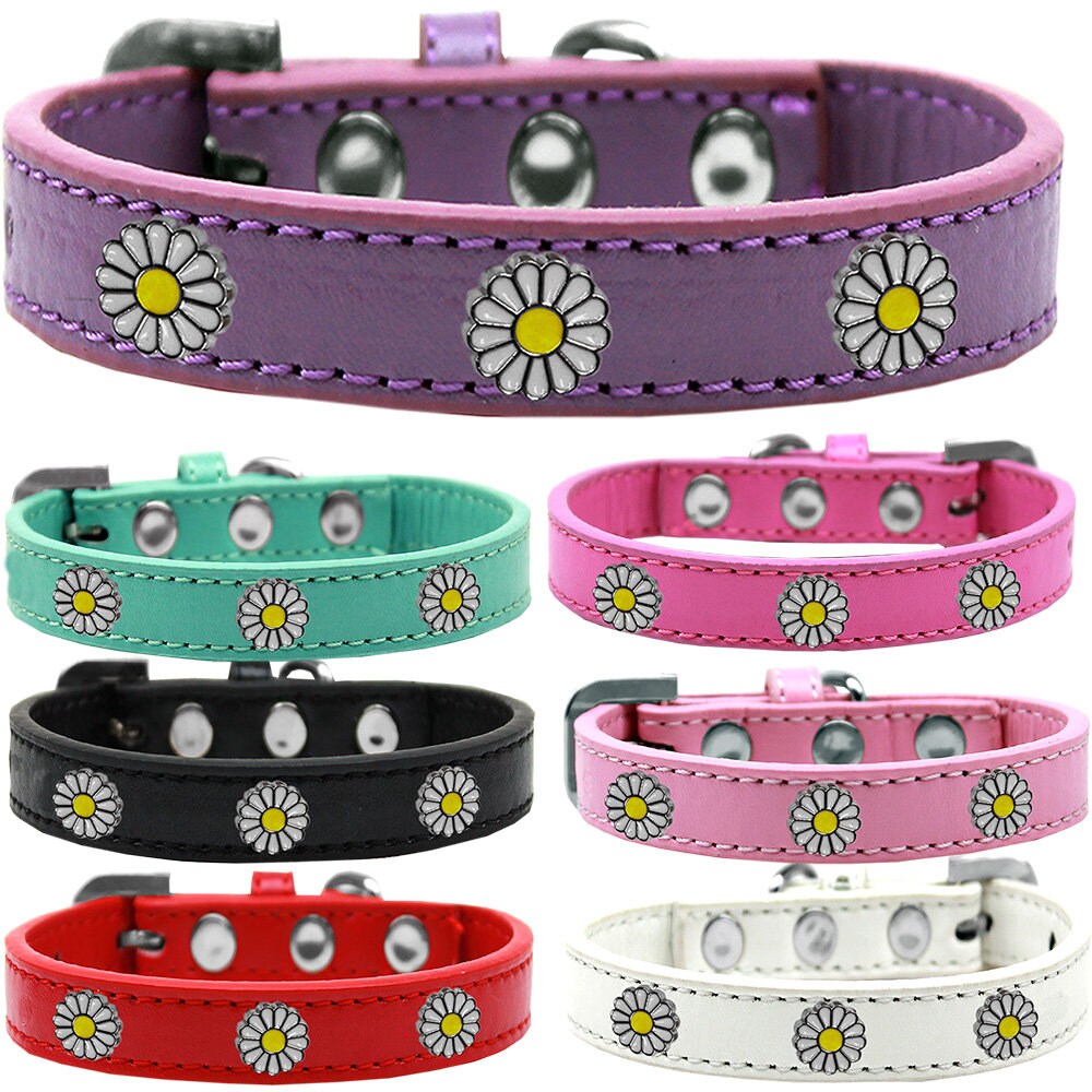 Stylish dog collar featuring white daisies and metal widgets, perfect for pets.