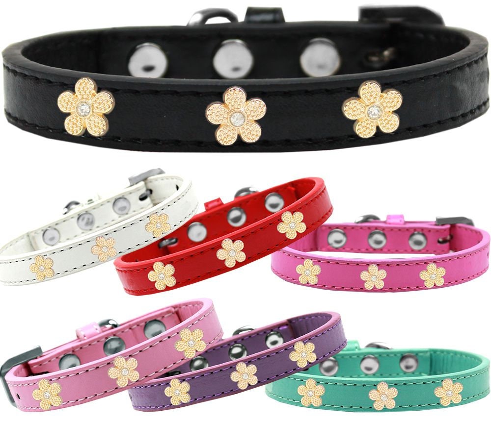 Gold Flower Widget Collar for dogs, featuring metal flower widgets on a durable collar.