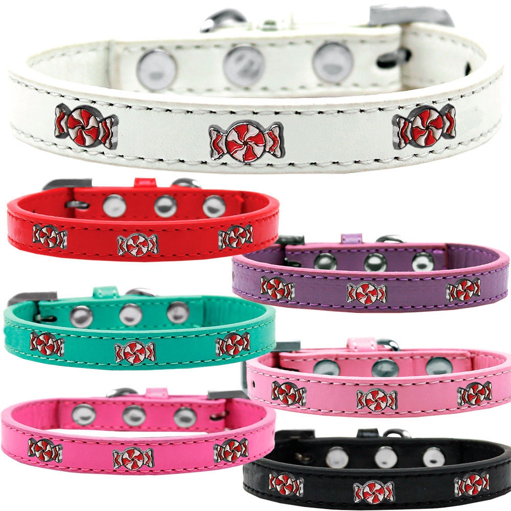 A stylish peppermint-themed dog collar featuring colorful widgets, perfect for fashionable pets.