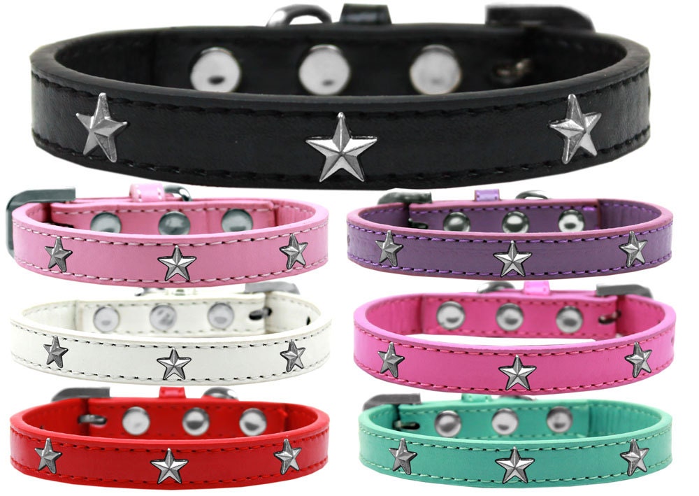 Stylish Silver Star fashion collar for dogs, featuring colorful widgets and durable design.