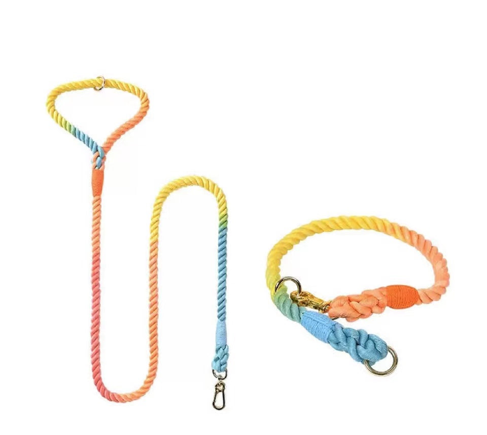 Classic Rainbow Dog Rope Leash and Collar Set featuring hand-woven cotton rope and solid brass hardware, perfect for stylish and durable dog walks.