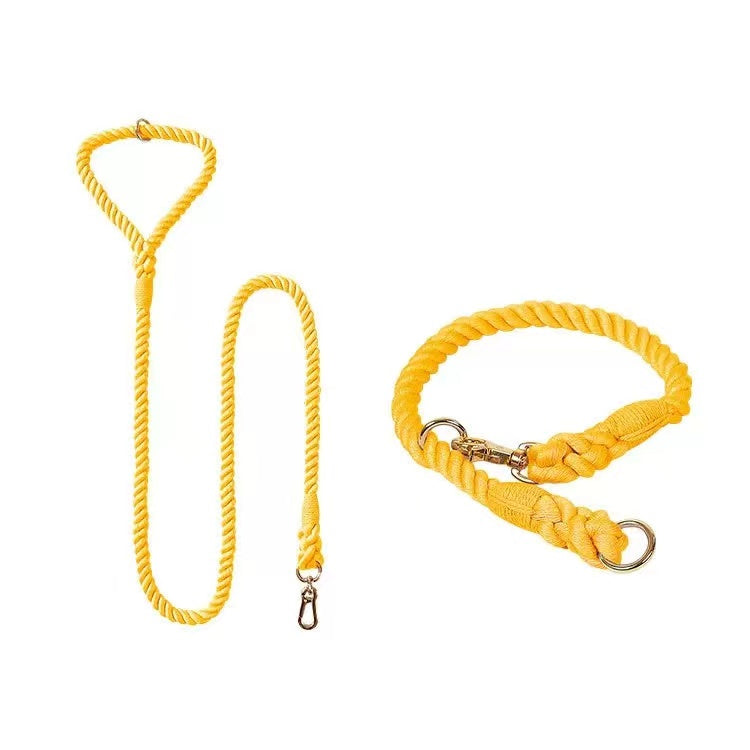 Golden Garden Dog Rope Leash and Collar Set made from hand woven cotton rope with brass hardware, showcasing its durability and style.