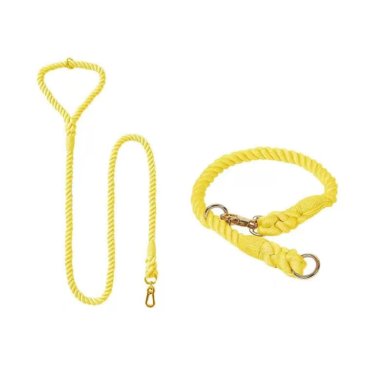 Dog Rope Leash and Collar Set in Lemon Squeeze, featuring hand woven cotton rope and solid brass hardware.