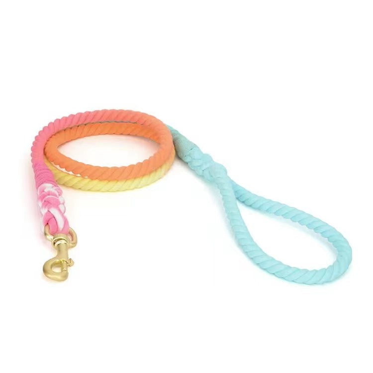 Colorful hand woven cotton dog rope leash with solid brass hardware, showcasing vibrant rainbow colors.