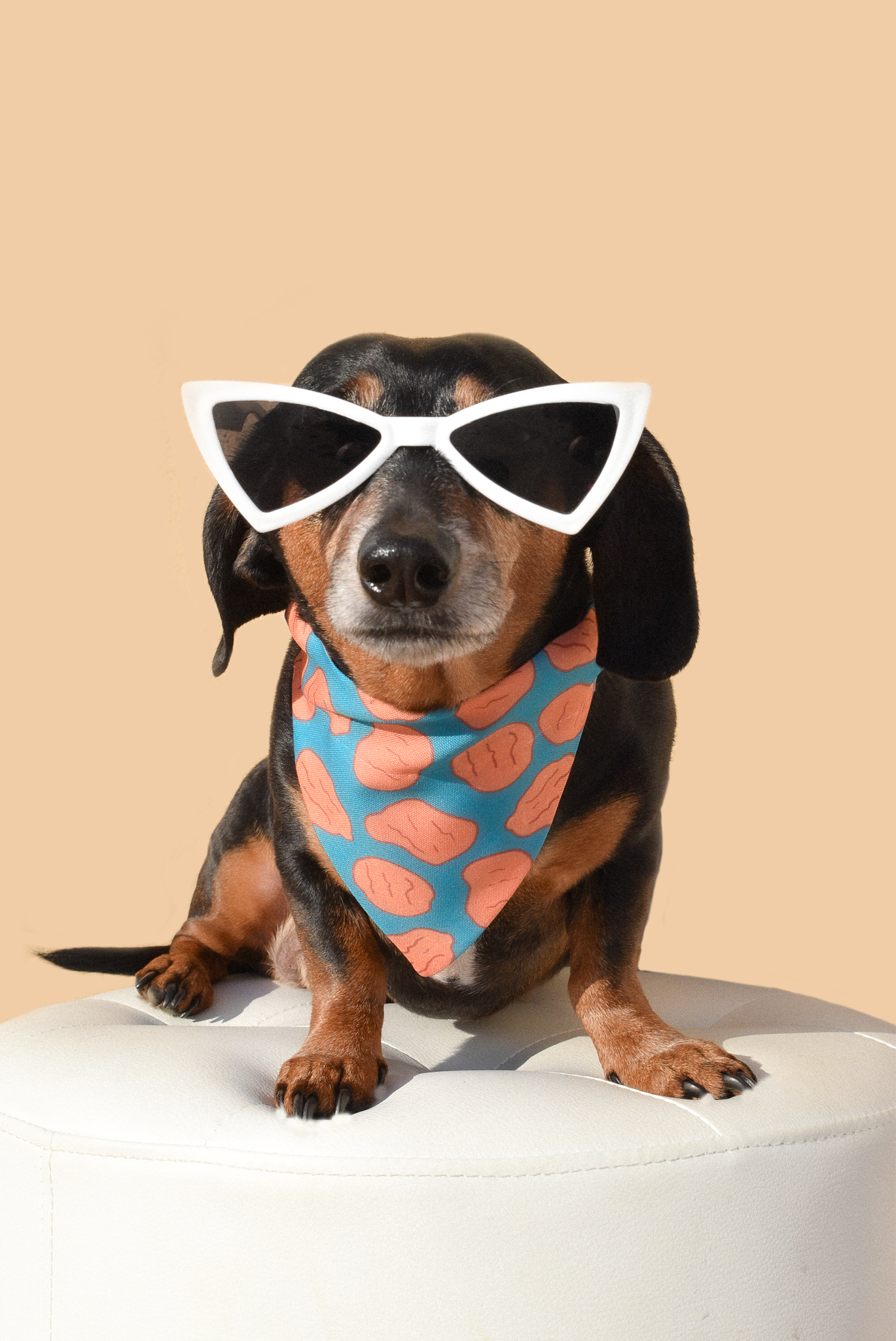 A pair of stylish retro-shaped dog sunglasses designed for pets, showcasing a fun and protective accessory for sunny days.