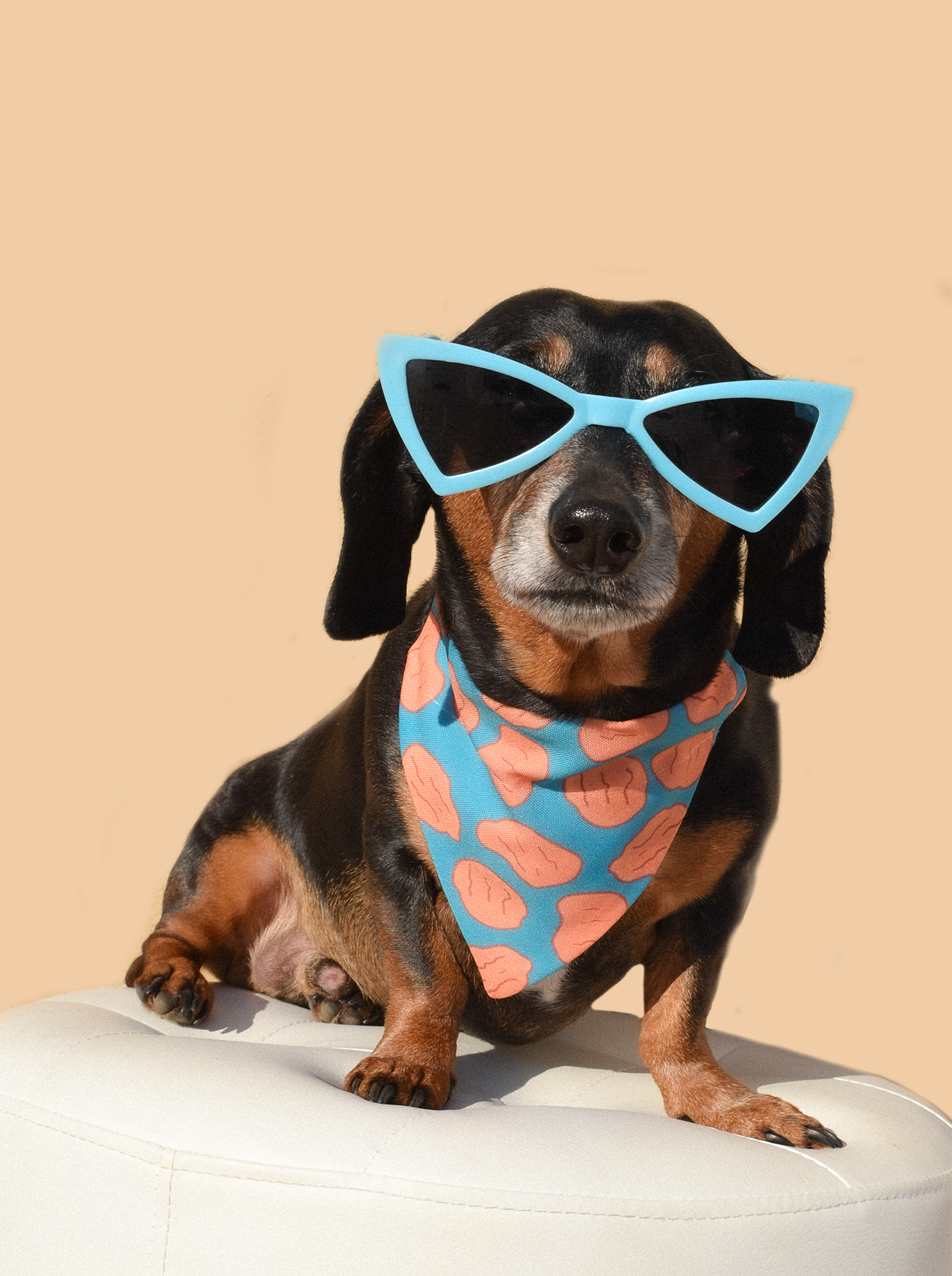 A pair of stylish retro-shaped dog sunglasses designed for pets, showcasing a fun and protective accessory for sunny days.