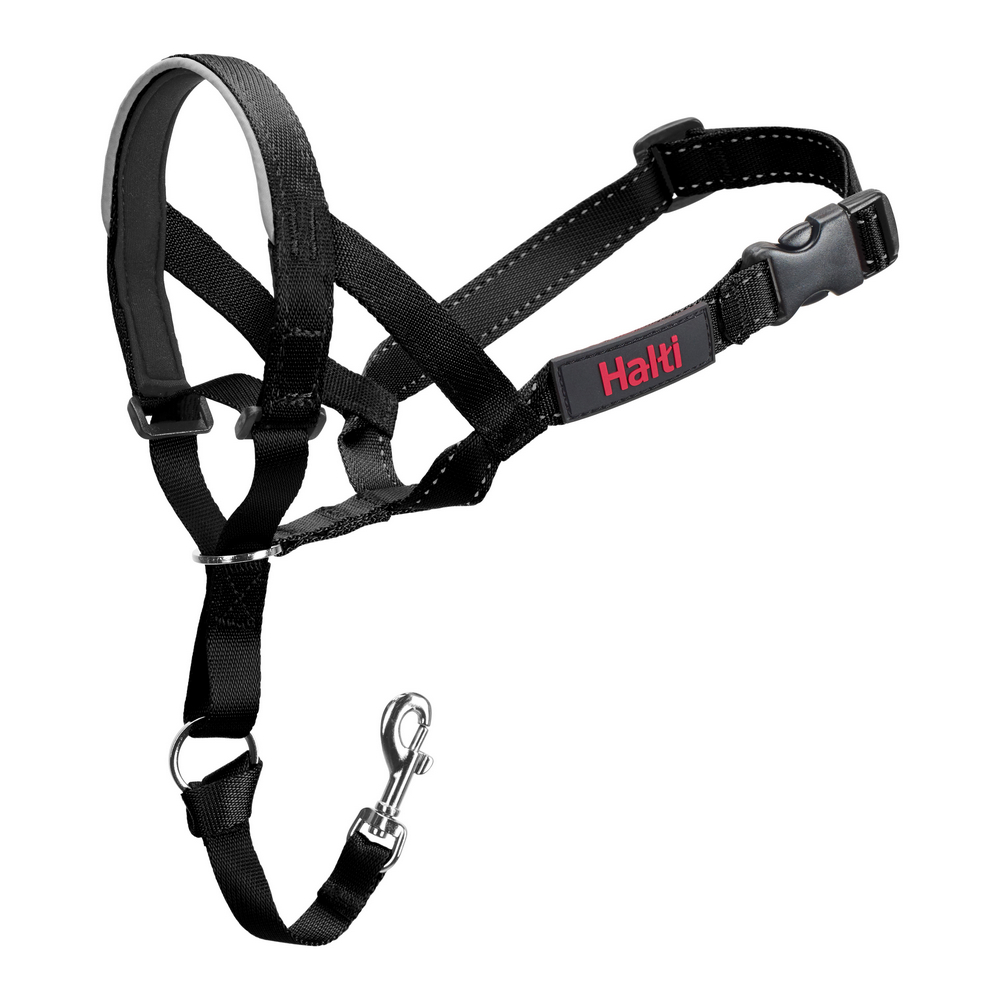 Black dog head halter harness