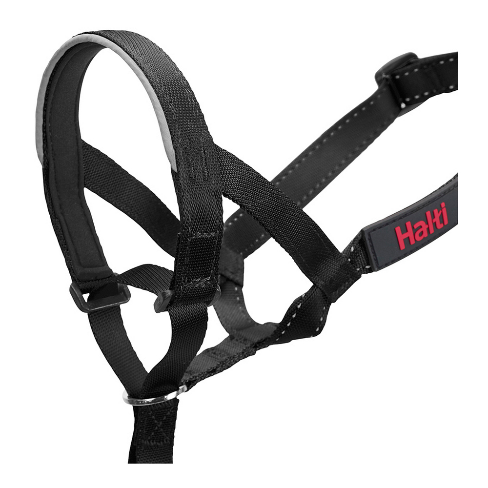 Black Halti dog head collar
