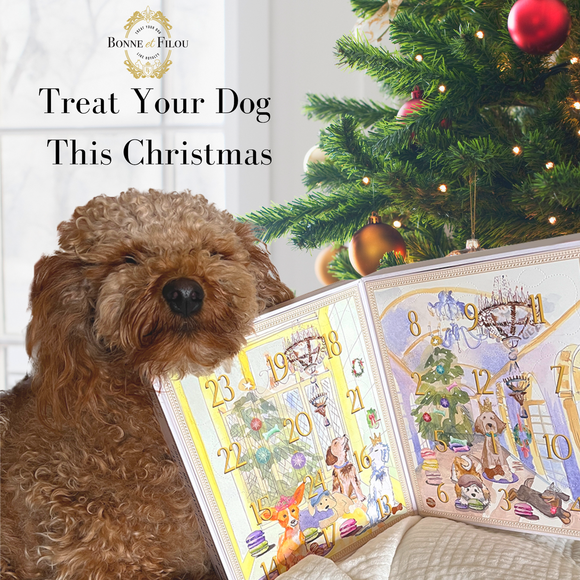 Luxurious Dog Treats Advent Calendar featuring 24 gourmet treats including bones, truffles, and macarons for dogs.