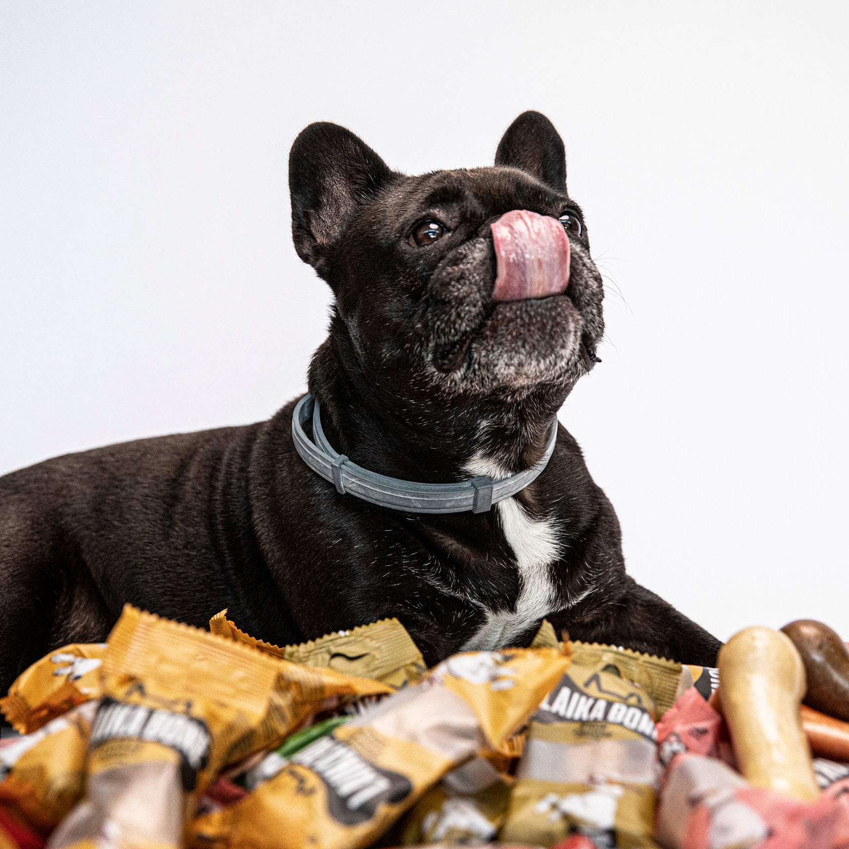 LAIKA BONE Cheese & Chicken Chews in a box, showcasing natural ingredients and a delicious treat for dogs.