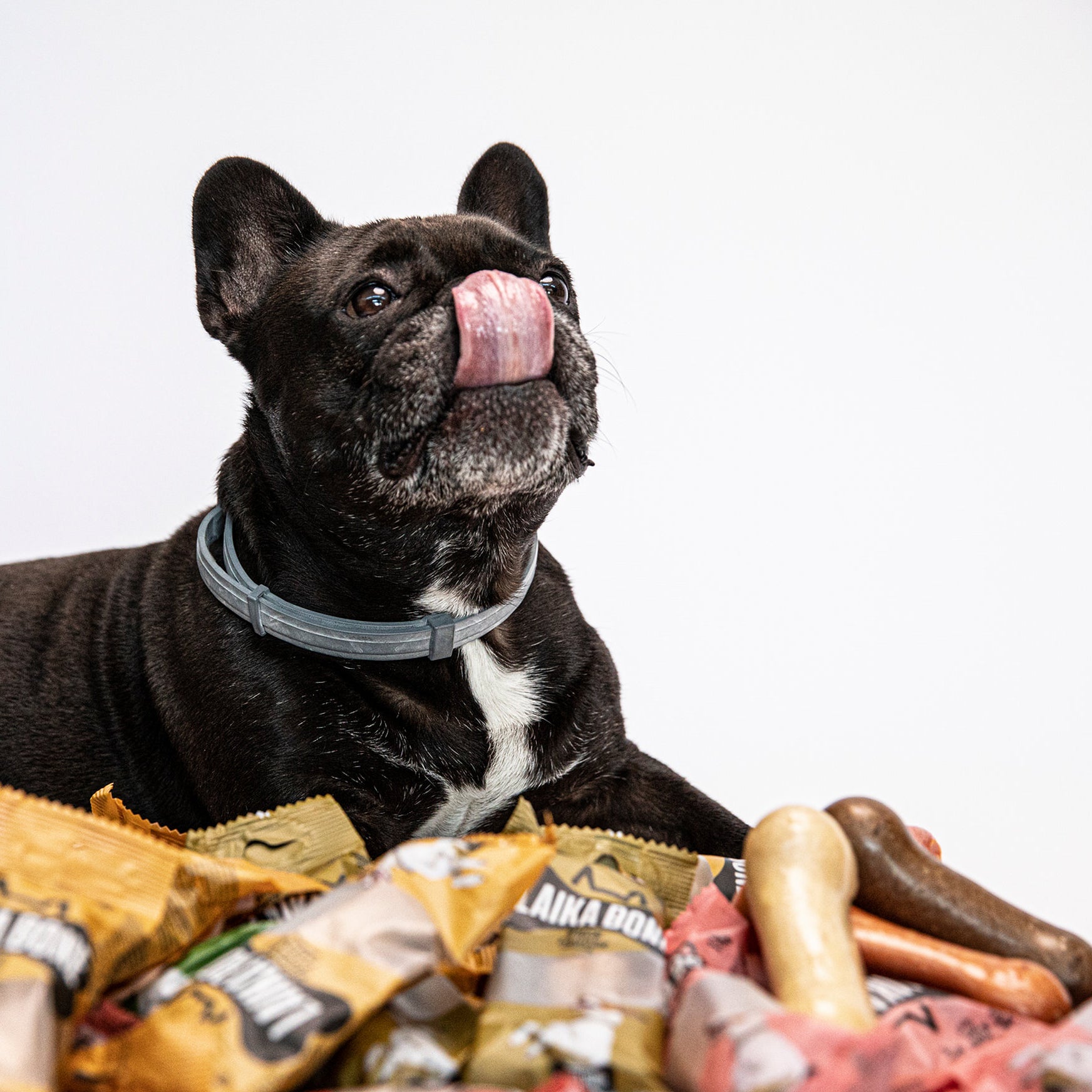A box of Dog Treats Cheese & Ham/Bacon Chew, featuring natural ingredients and a delicious flavor for dogs.