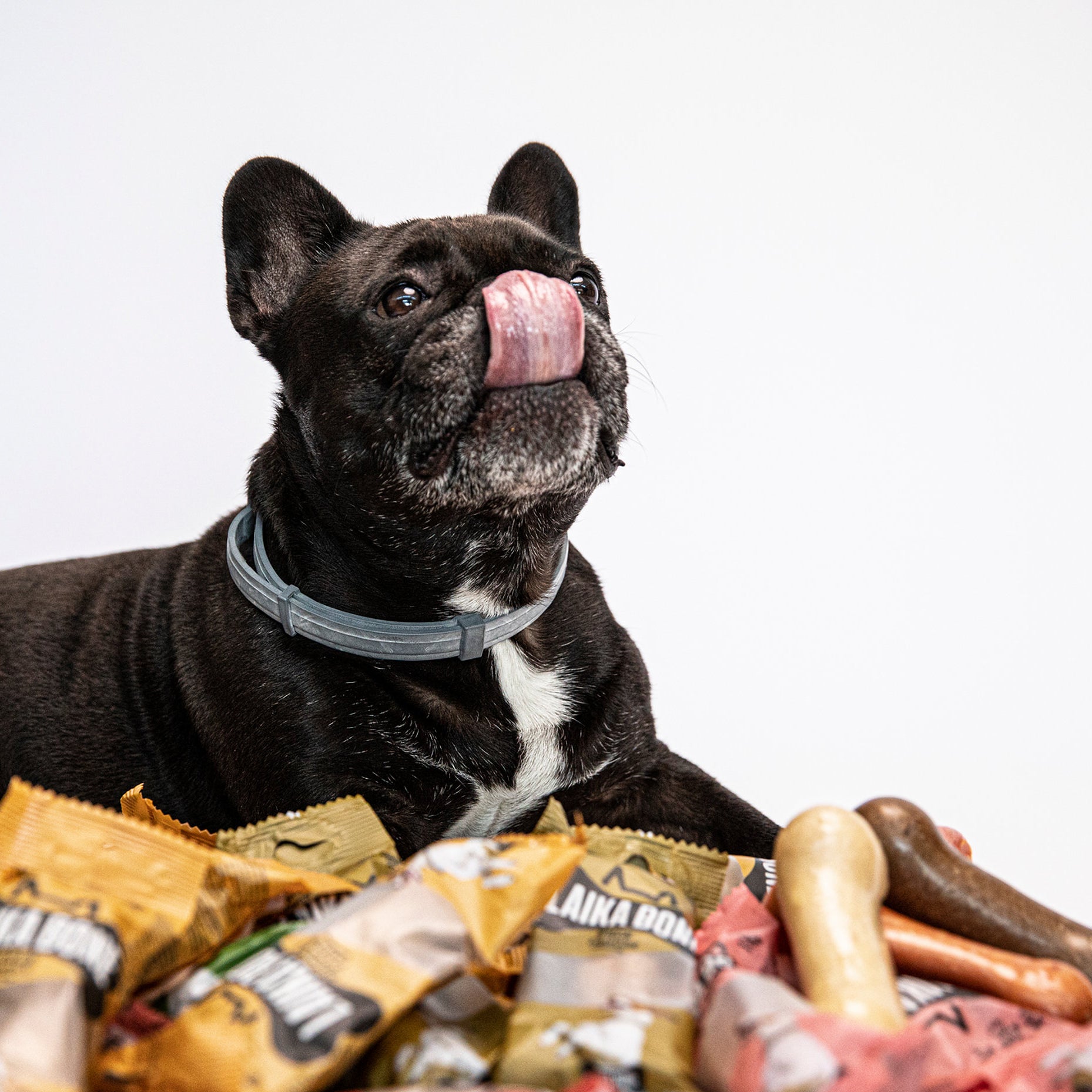 A box of LAIKA BONE Dog Treats featuring Cheese & Lamb chews, showcasing their natural ingredients and appealing texture.