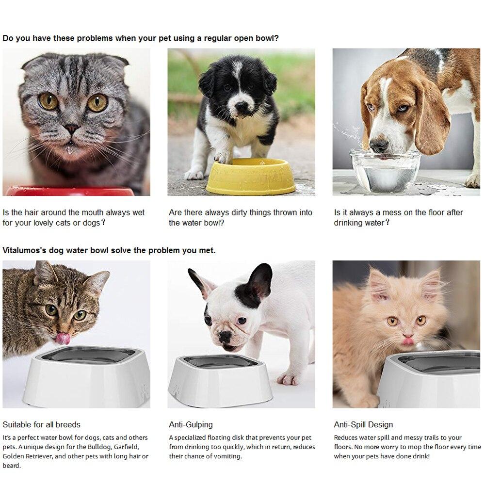 Portable dog water bowl with large capacity, splash-proof design, and non-slip bottom, suitable for travel and outdoor use.