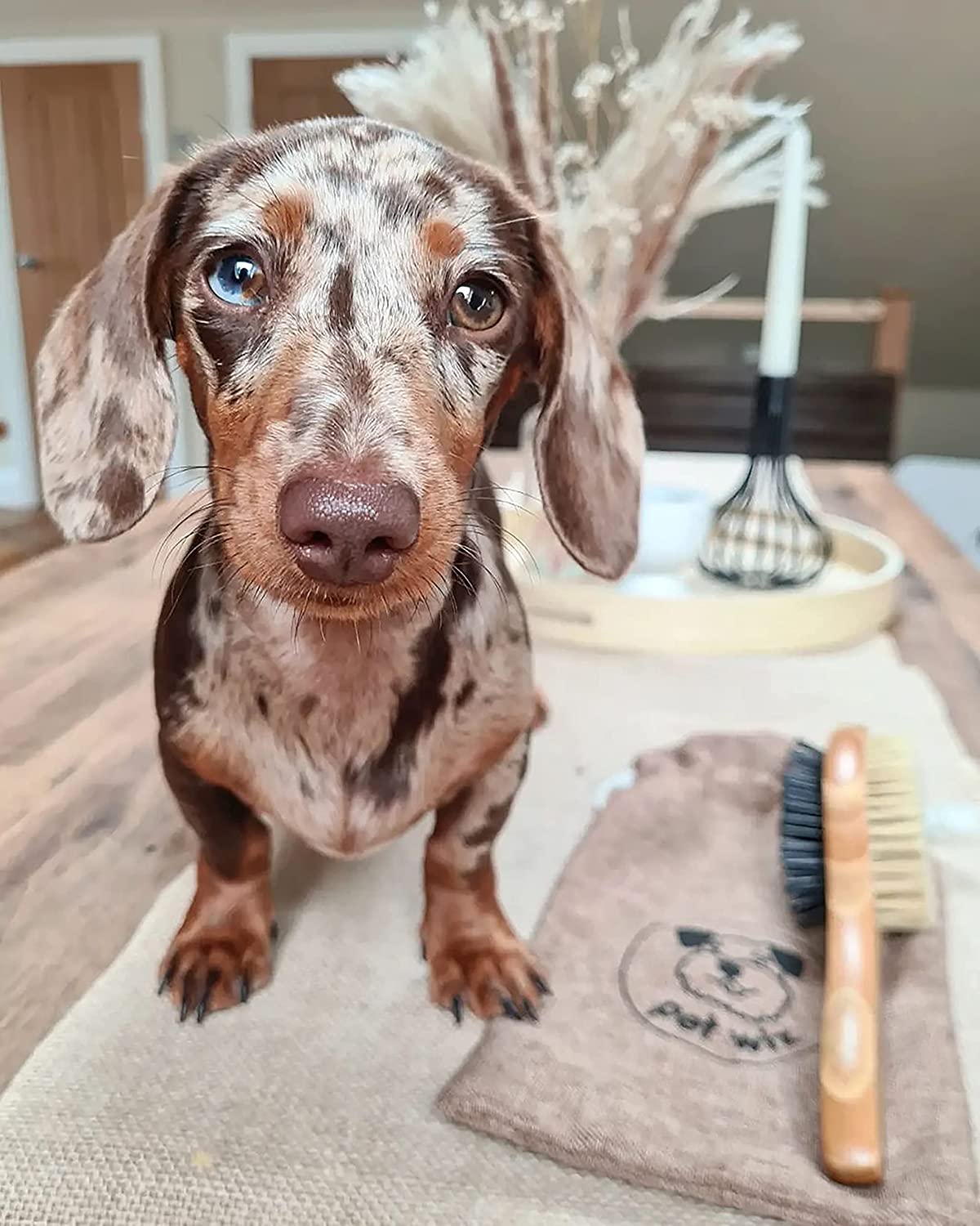 Double sided bamboo dog brush featuring pin and bristle sides for effective grooming.