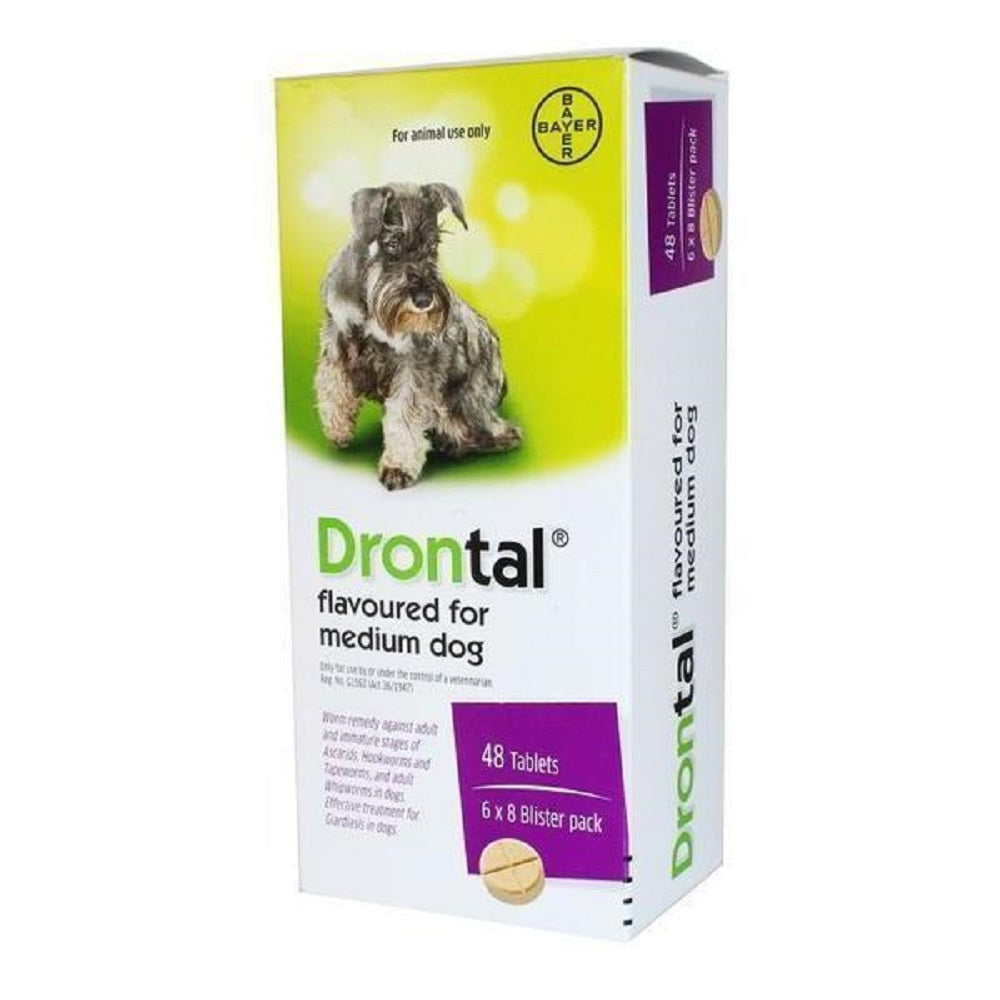 Drontal Dog Dewormer Medium Flavoured Tablets in a blister pack, designed for effective worm treatment in dogs.