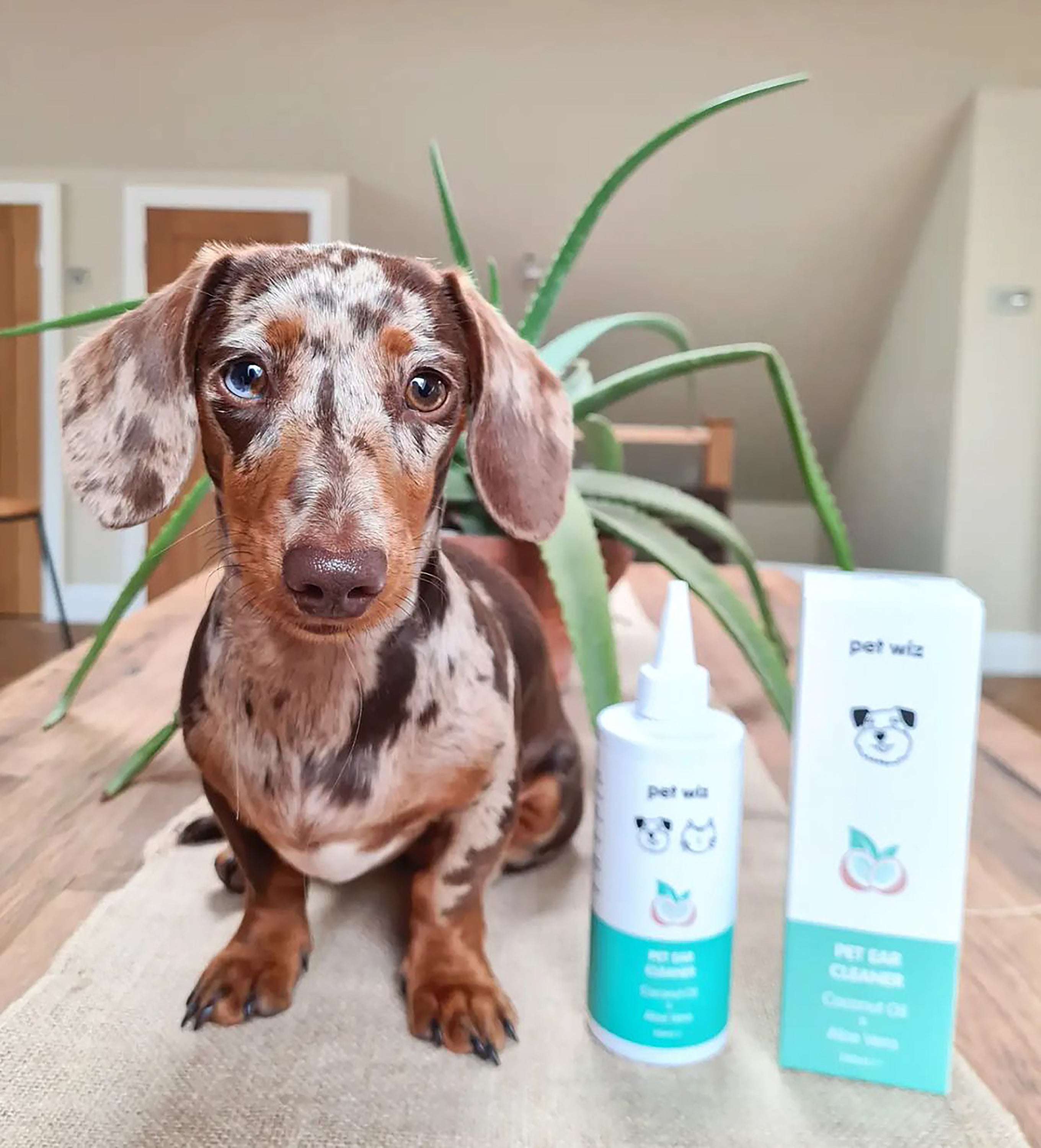 Pet Wiz Ear Cleaner for Dogs and Cats with coconut oil and aloe vera, designed for safe and gentle ear cleaning.