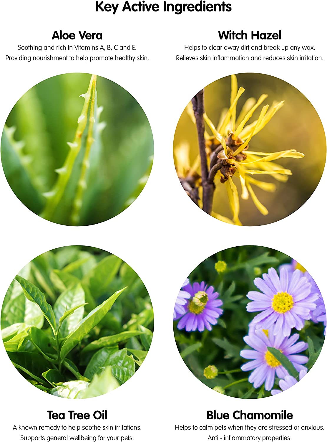 A tub of Ear Wipes for Dogs & Cats, featuring natural ingredients like Aloe Vera and tea tree oil, designed for easy ear cleaning.